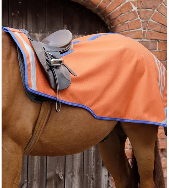 Stratus Horse Exercise Sheet Orange