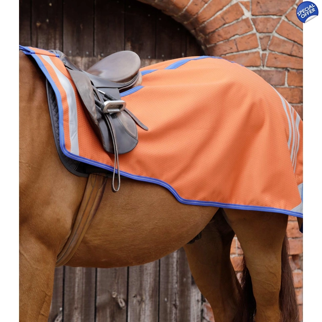 product Image for Stratus Horse Exercise Sheet Orange
