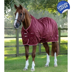 Tuscan Stable Rug 100g Burgundy
