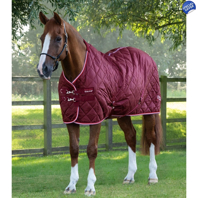 product Image for Tuscan Stable Rug 100g Burgundy