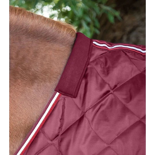 Burgundy bundle