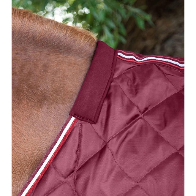 Additional Image for Tuscan Stable Rug 100g Burgundy