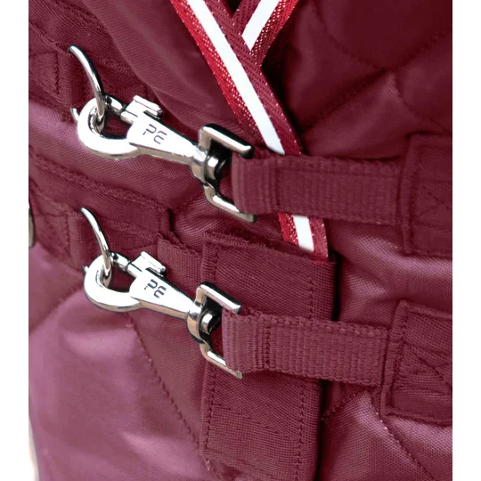 Burgundy bundle