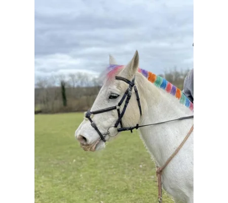 Rainbow combs