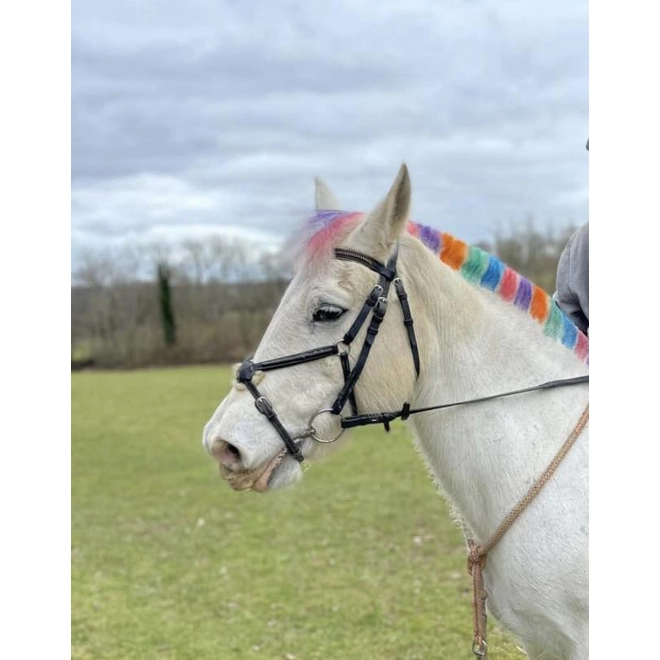 product Image for Rainbow combs