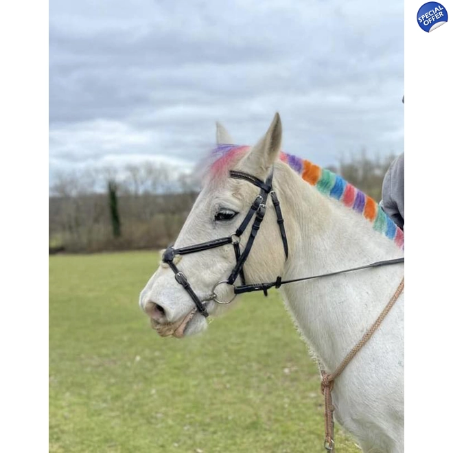 product Image for Rainbow combs