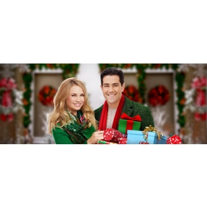 Christmas Next Door DVD Hallmark movie