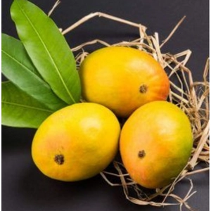 Devgad Alphonso Mango