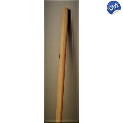 Baston recuperare medicala 100 cm - BR10L