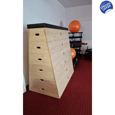 Lada gimnastica examen ..