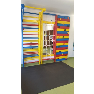 Ansamblu Spalier Gimnastica 215x240 cm, Colorat, model M5321524C3