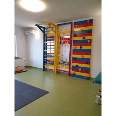 Ansamblu Spalier Gimnastica 245x240 cm, Colorat, model M534524C3