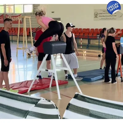 Capra gimnastica reglab..
