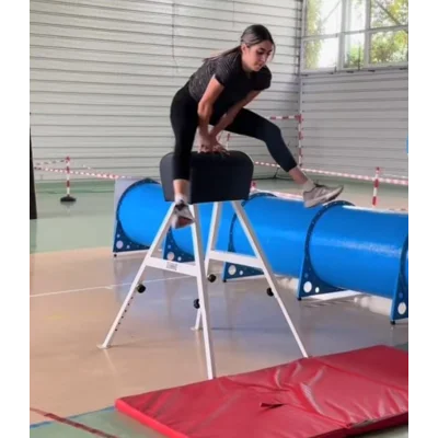 Capra gimnastica reglabila 90-130 cm, pentru sarituri si antrenamente sportive, CPR04, Lemnaria Jder