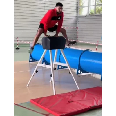 Capra gimnastica reglabila 90-130 cm, pentru sarituri si antrenamente sportive, CPR04, Lemnaria Jder