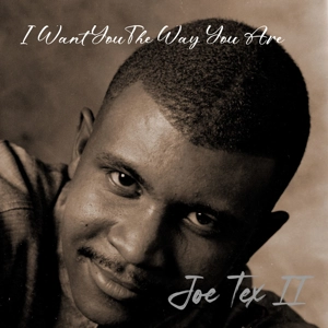 I Want You The Way You Are