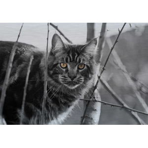 Brushed Aluminum Print