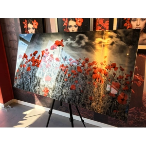 Epoxy Brushed Aluminum Print