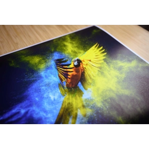 Giclée Poster Print (Satin)