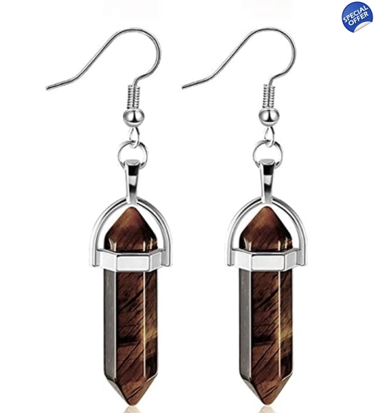 Tiger’s Eye Earrings