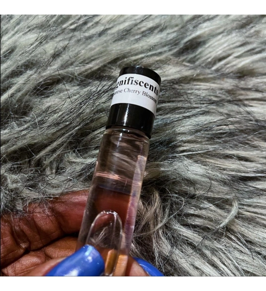 Japanese Cherry Blossom