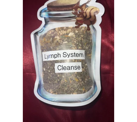 Lymphatic System Cleanse