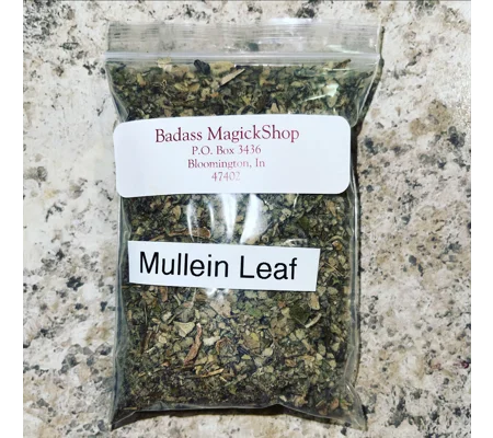 Mullein Leaf