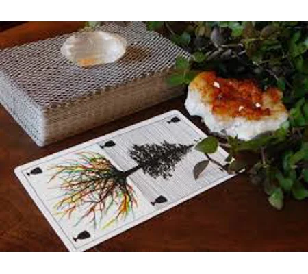 Past Life Regression Reading