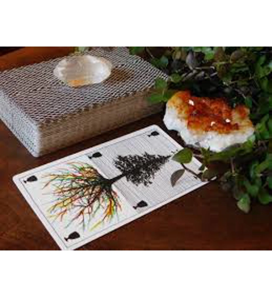 Past Life Regression Reading