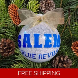 Personalized School, Middle School Christmas Ornament.