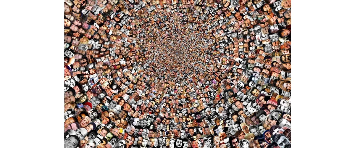 Where have all the flowers gone?