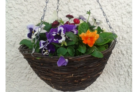 Rattan Hanging Basket
