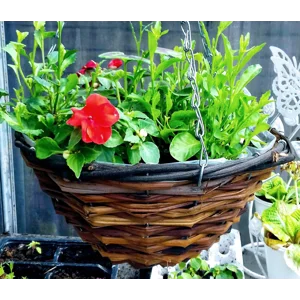 Hanging Baskets &amp; Accessories
