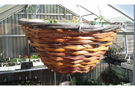 Local Rattan Round Basket