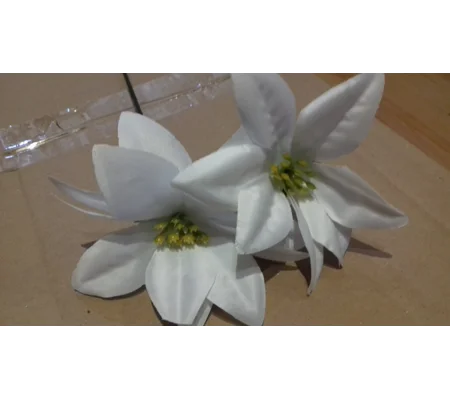 10 x White Poinsettia Flowers