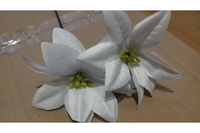 10 x White Poinsettia Flowers