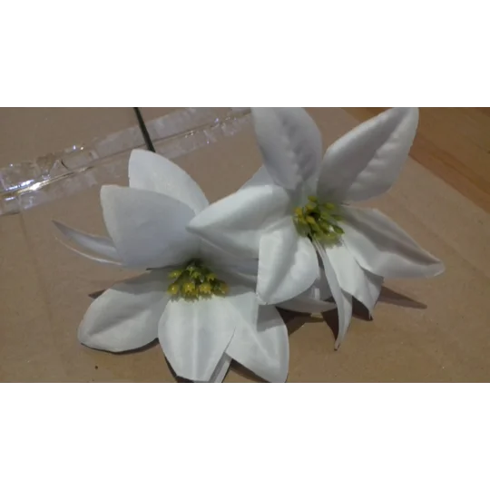 10 x White Poinsettia Flowers