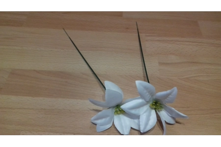 10 x White Poinsettia Flowers