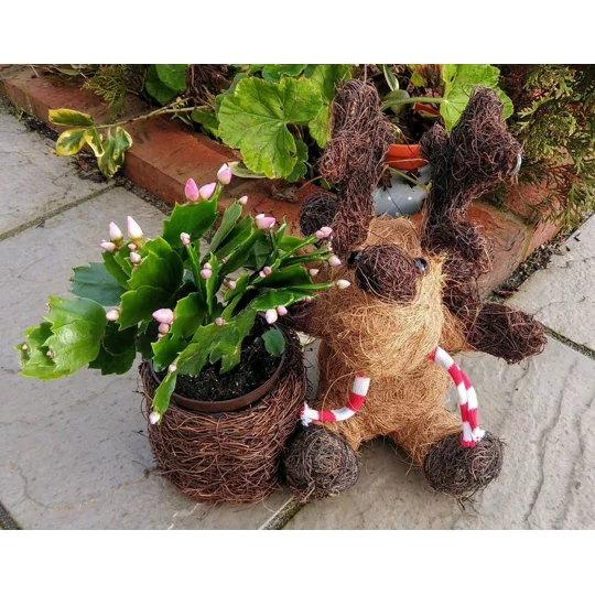 Reindeer Planter