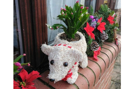 Polar Bear Christmas Planter Polar Bear Christmas Planter