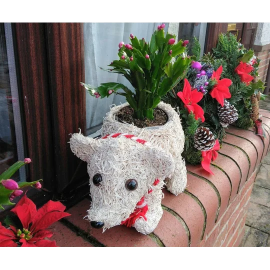 Polar Bear Christmas Planter