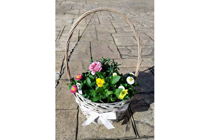Round Willow Baskets