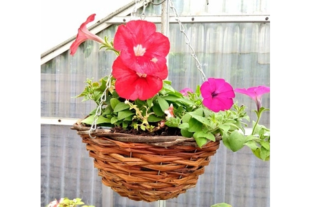 Local Rattan Round Basket
