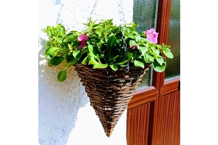 Pre-planted Hanging Baskets (With Seasonal plants) Pre-planted Hanging Baskets (With Seasonal plants)