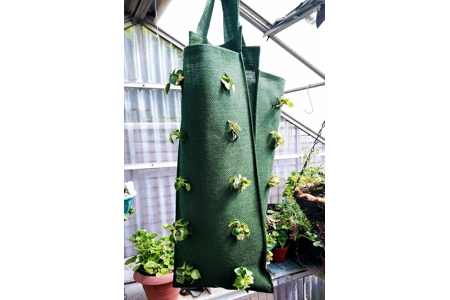 Jute Grow Bags Jute Grow Bags
