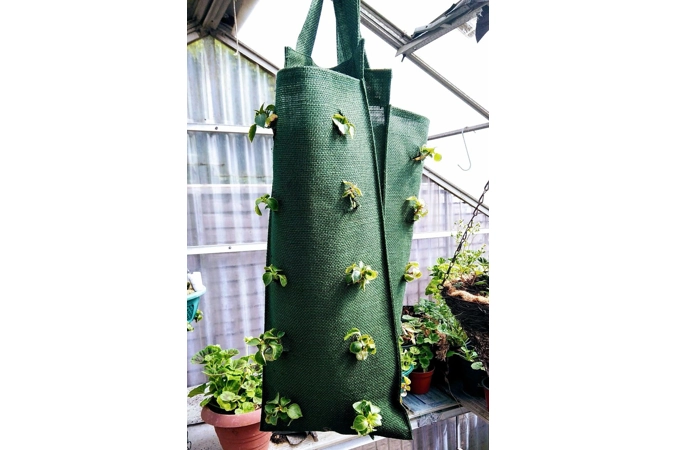 Jute Grow Bags Jute Grow Bags
