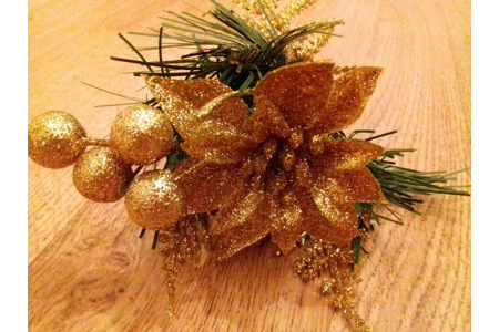 Christmas Picks Christmas Picks