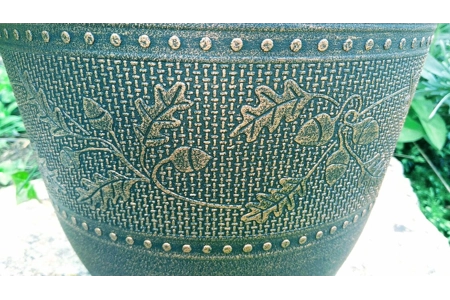 Acorn Planter & Plants Acorn Planter & Plants