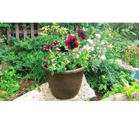 Acorn Planters