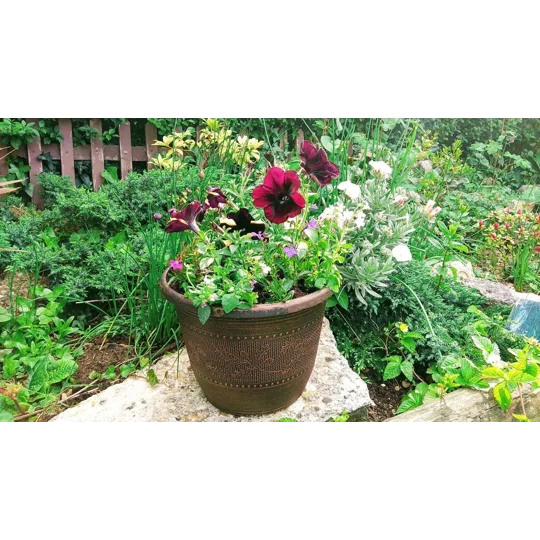 Acorn Planters